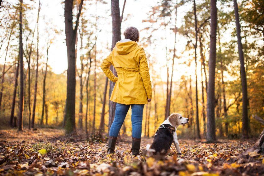 gold coast surgical center Partial Knee Replacement Surgery Eliminate Pain While Speeding Up Recovery Time.jpg